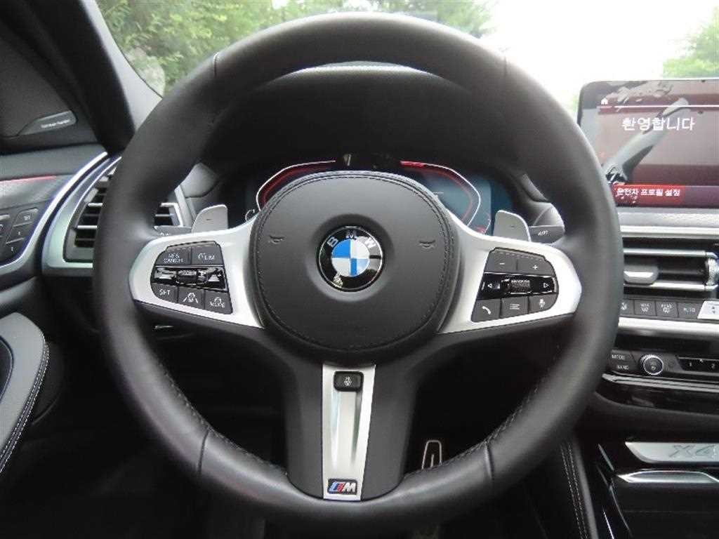 BMW X4 X4 (G02) xDrive 20i M 스포츠 프로 이미지 16