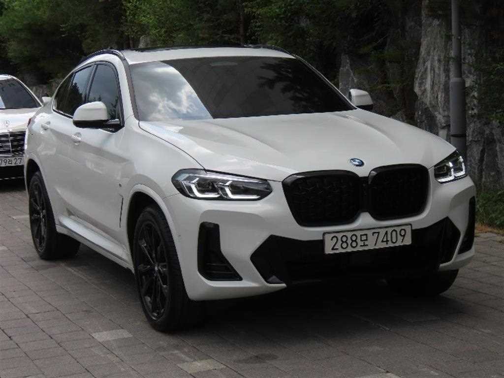 BMW X4 X4 (G02) xDrive 20i M 스포츠 프로 이미지 2