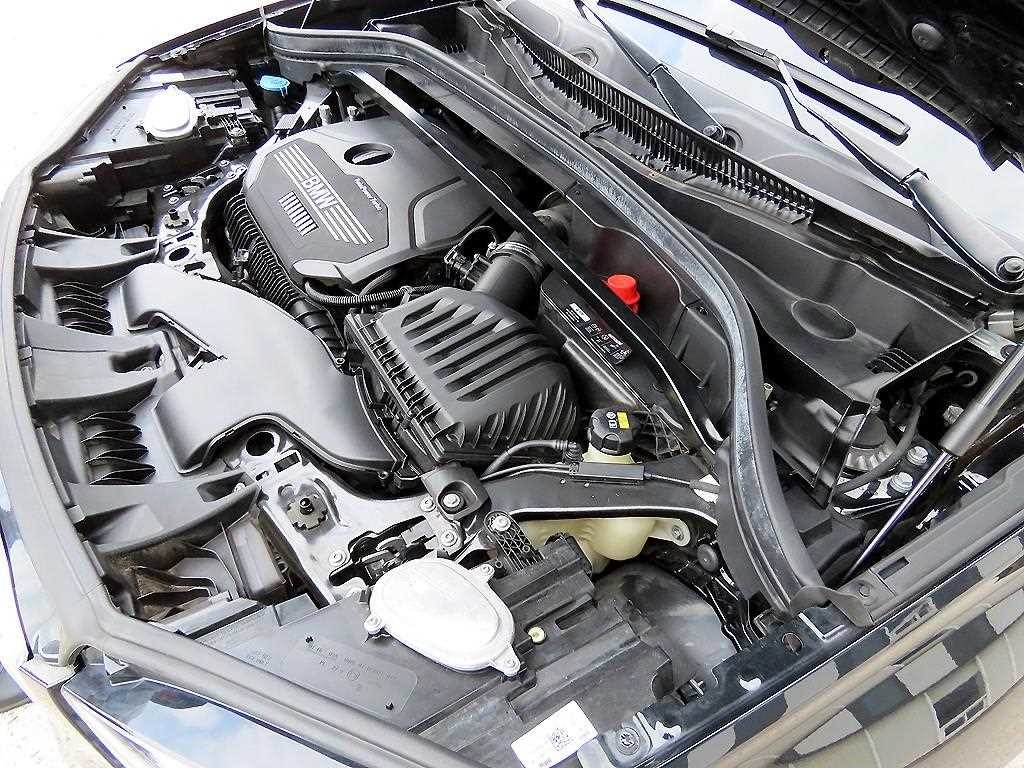 BMW X1 X1 (F48) xDrive 20i xLine 이미지 19