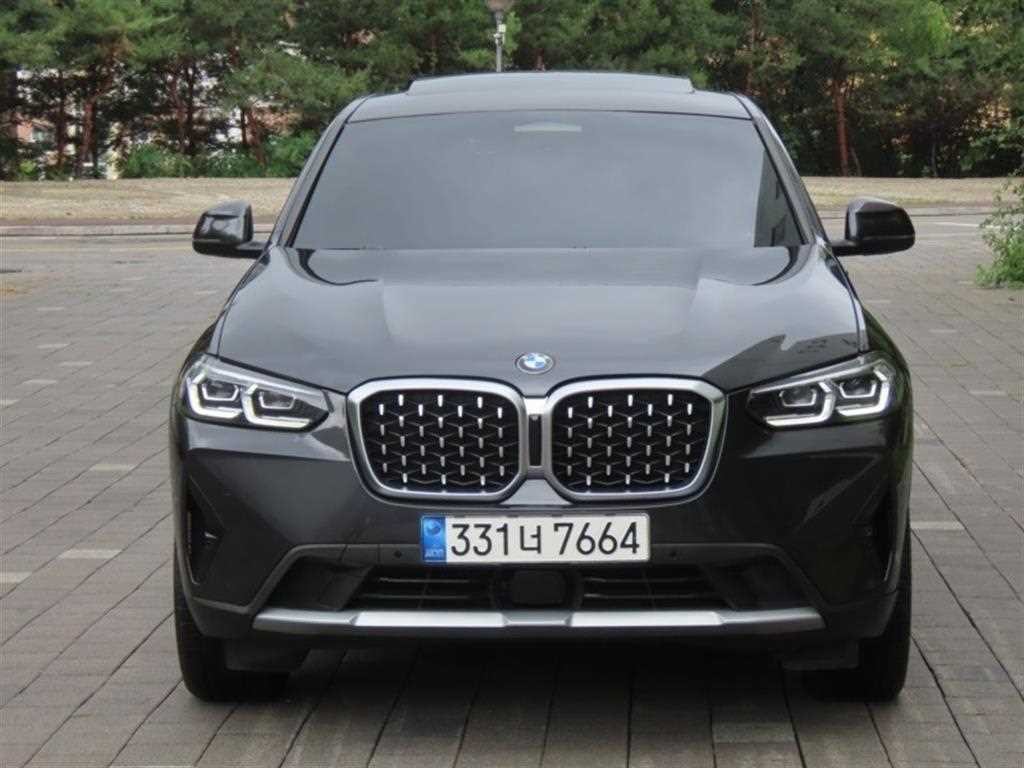 BMW X4 X4 (G02) xDrive 20i xLine 이미지 1