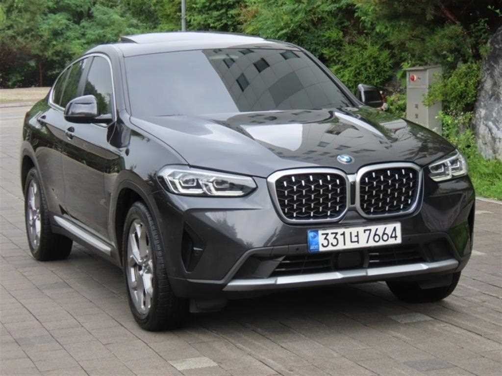 BMW X4 X4 (G02) xDrive 20i xLine 이미지 2