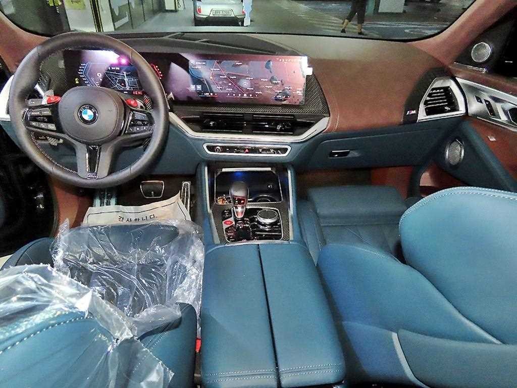 BMW XM XM (G09) 4.4 V8 PHEV 이미지 10