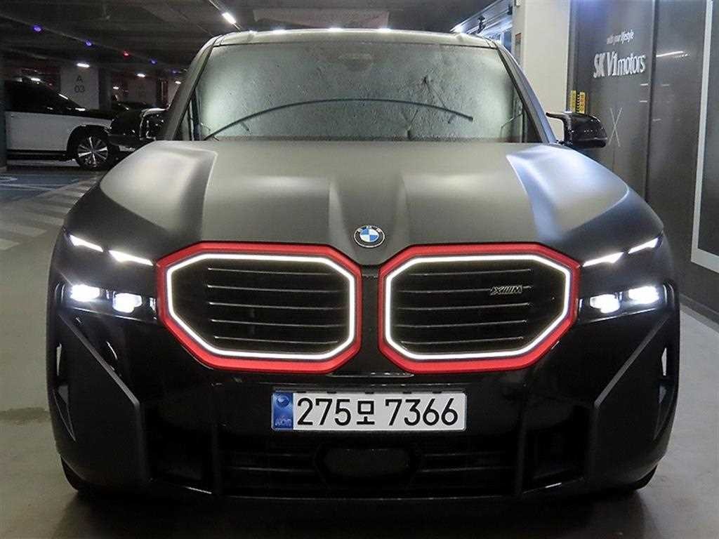 BMW XM XM (G09) 4.4 V8 PHEV 이미지 2