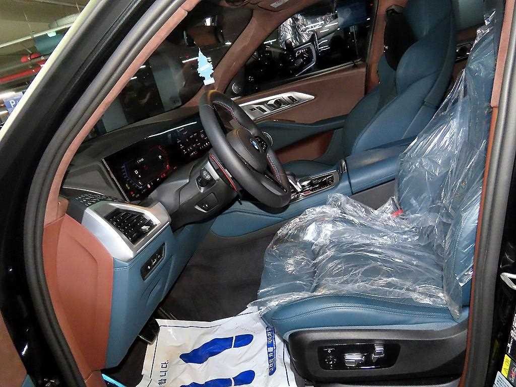 BMW XM XM (G09) 4.4 V8 PHEV 이미지 6