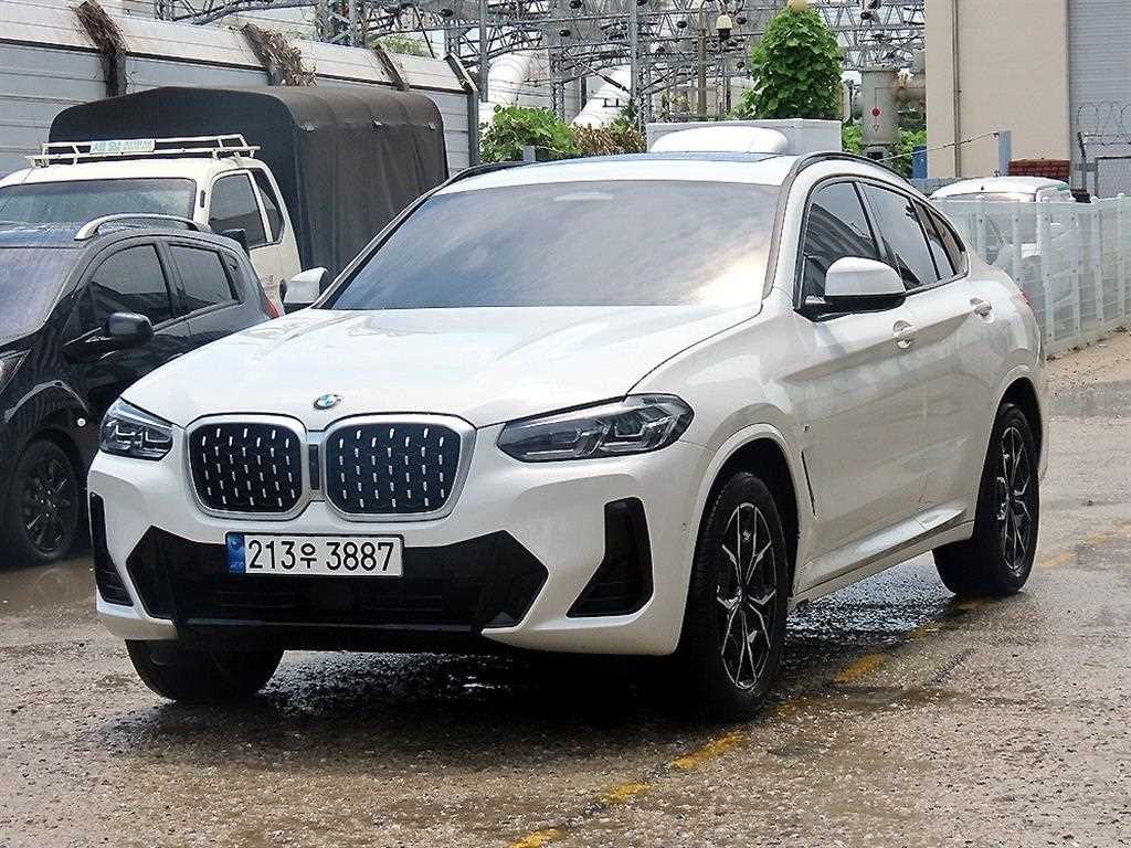 BMW X4 X4 (G02) xDrive 20i xLine 이미지 2