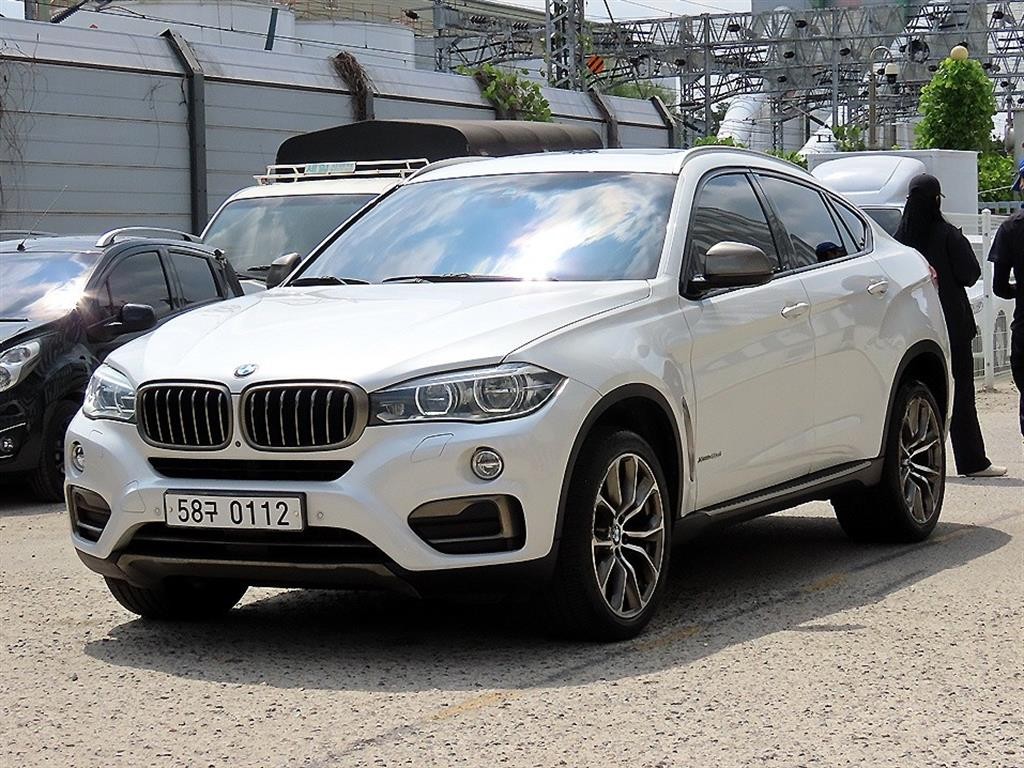 BMW X6 X6 (F16) xDrive 40d 이미지 2