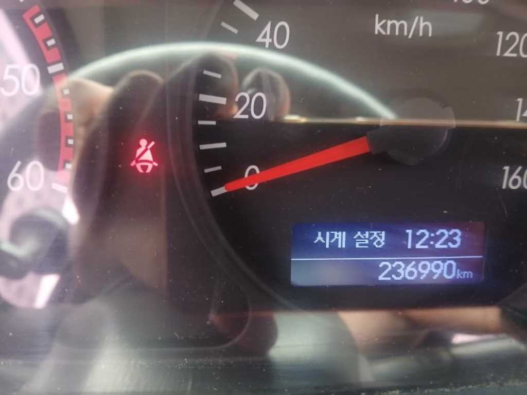 중대형화물 카고 카고(2톤) 마이티 e-마이티 큐티 이미지 8