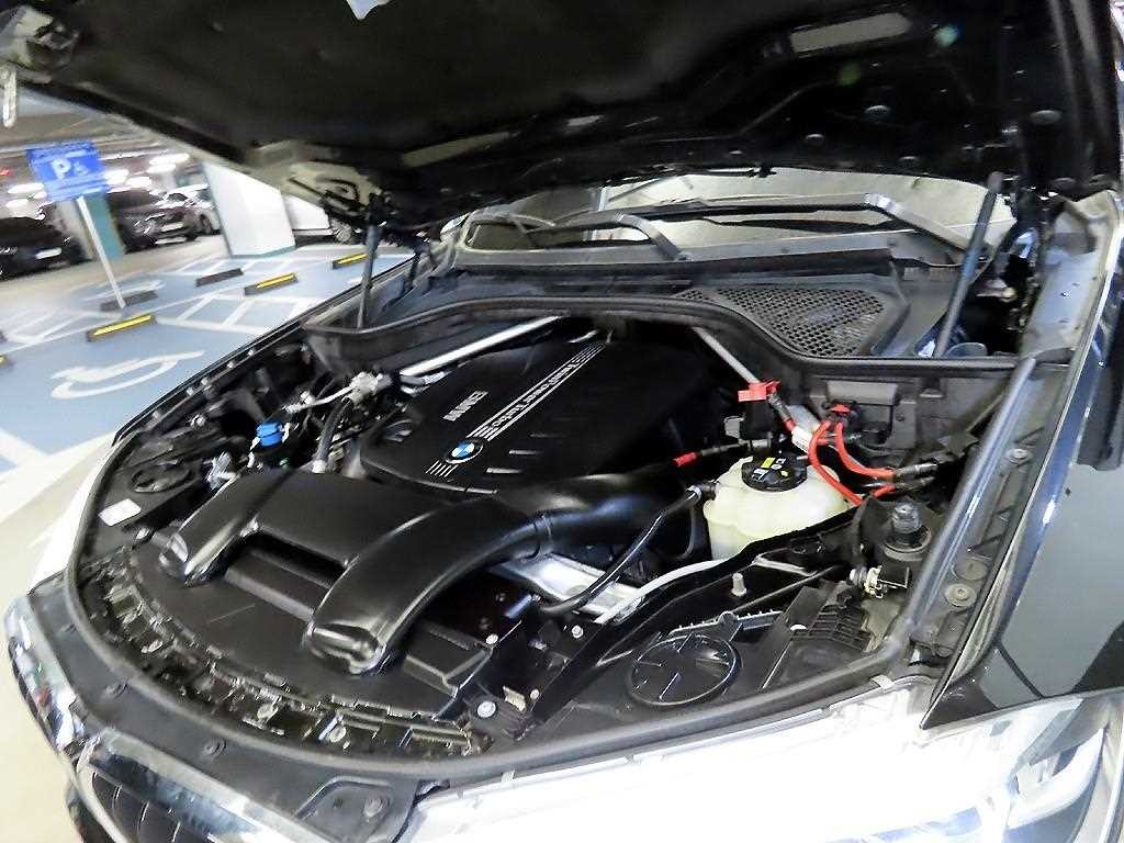 BMW X6 X6 (F16) xDrive 30d 이미지 19