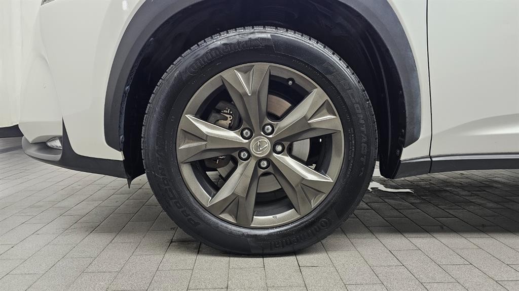 렉서스 NX NX 300h 이그제큐티브 이미지 5