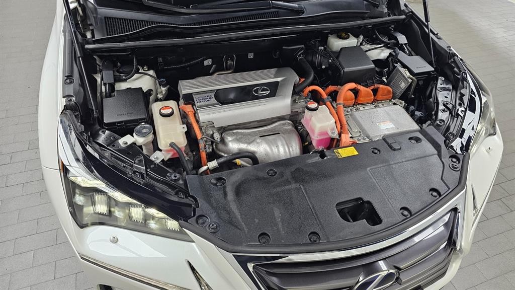 렉서스 NX NX 300h 이그제큐티브 이미지 7