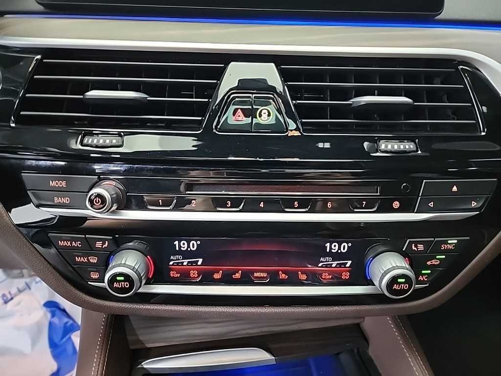 BMW 5시리즈 5시리즈 (G30) 530i M 스포츠 플러스 이미지 10