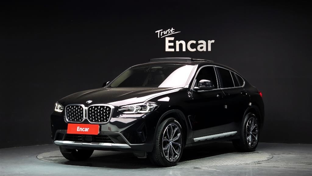 BMW X4 X4 (G02) xDrive 20i xLine 이미지 1