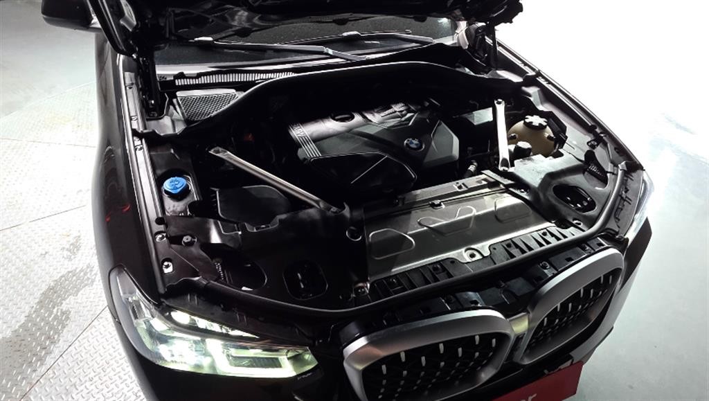 BMW X4 X4 (G02) xDrive 20i xLine 이미지 6
