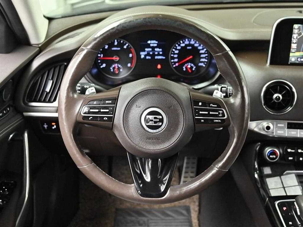 기아 스팅어 디젤 2.2 AWD 플래티넘 이미지 13