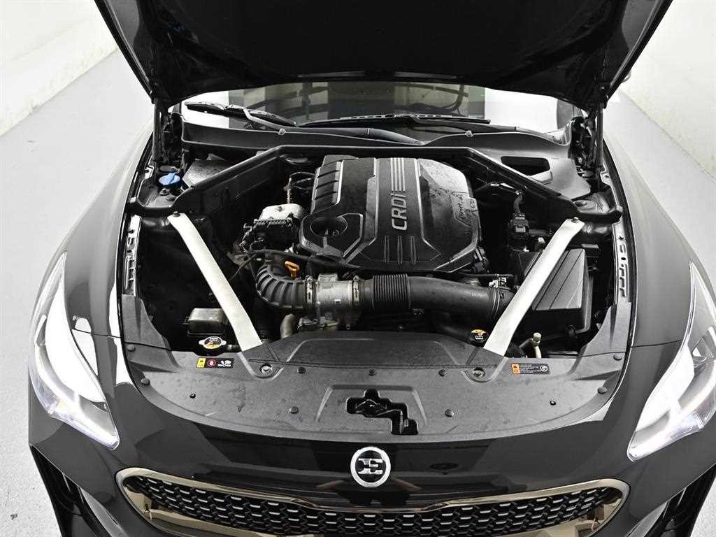 기아 스팅어 디젤 2.2 AWD 플래티넘 이미지 6