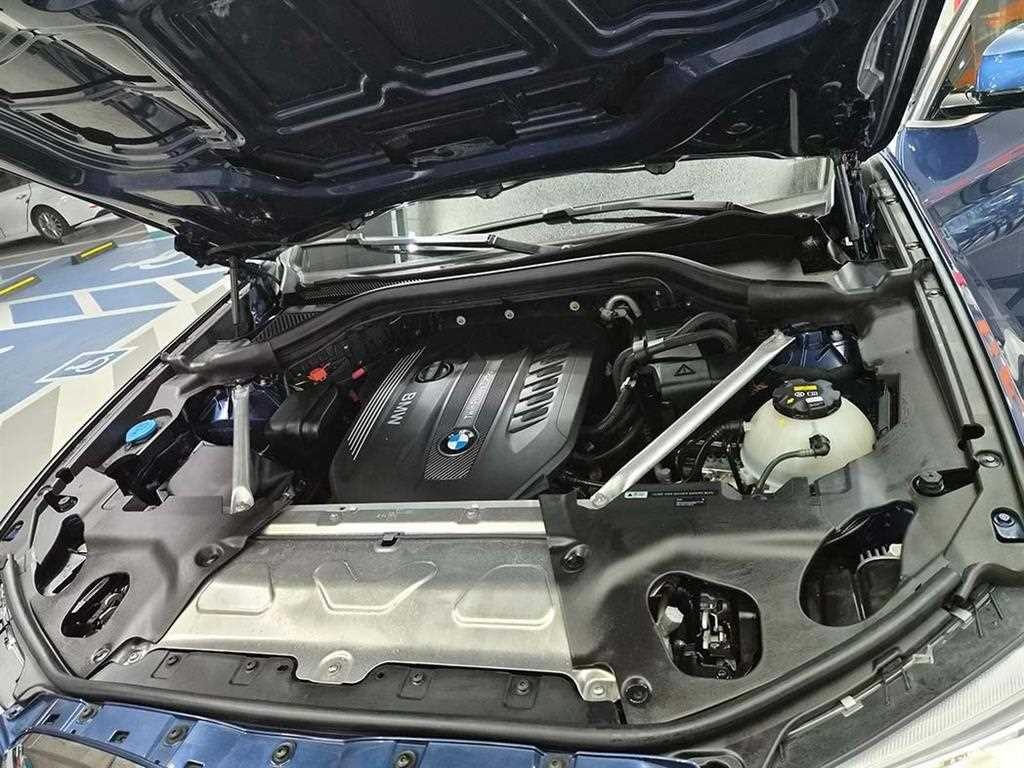 BMW X4 X4 (G02) xDrive 30d M 스포츠 X 이미지 19
