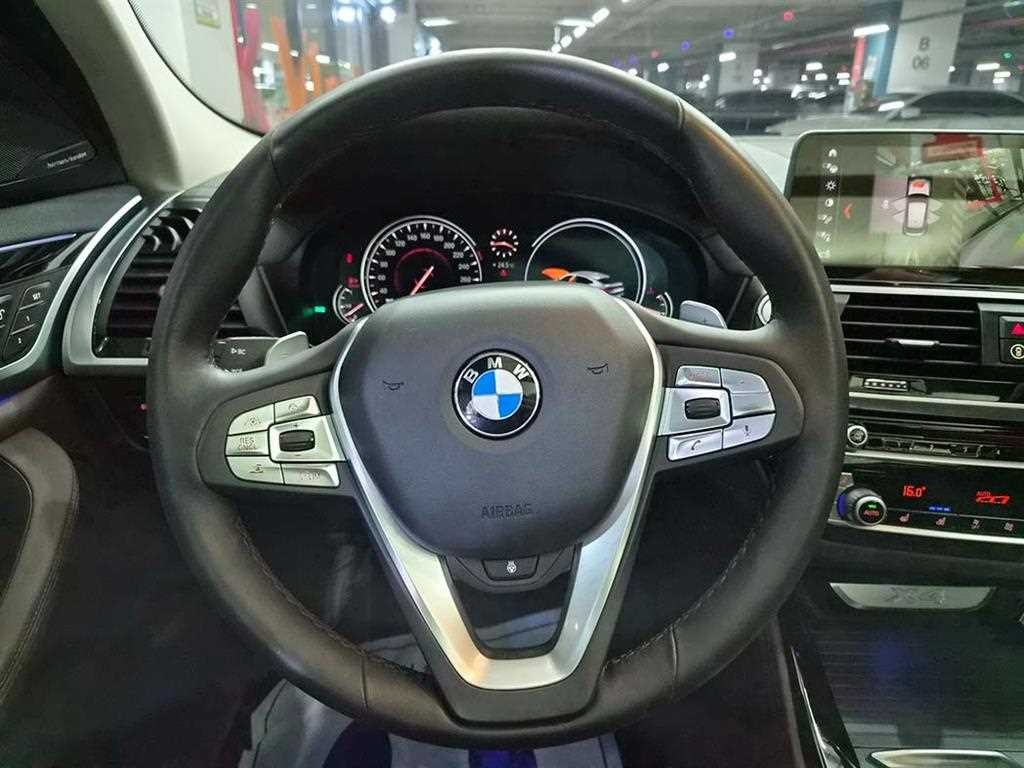 BMW X4 X4 (G02) xDrive 30d M 스포츠 X 이미지 8