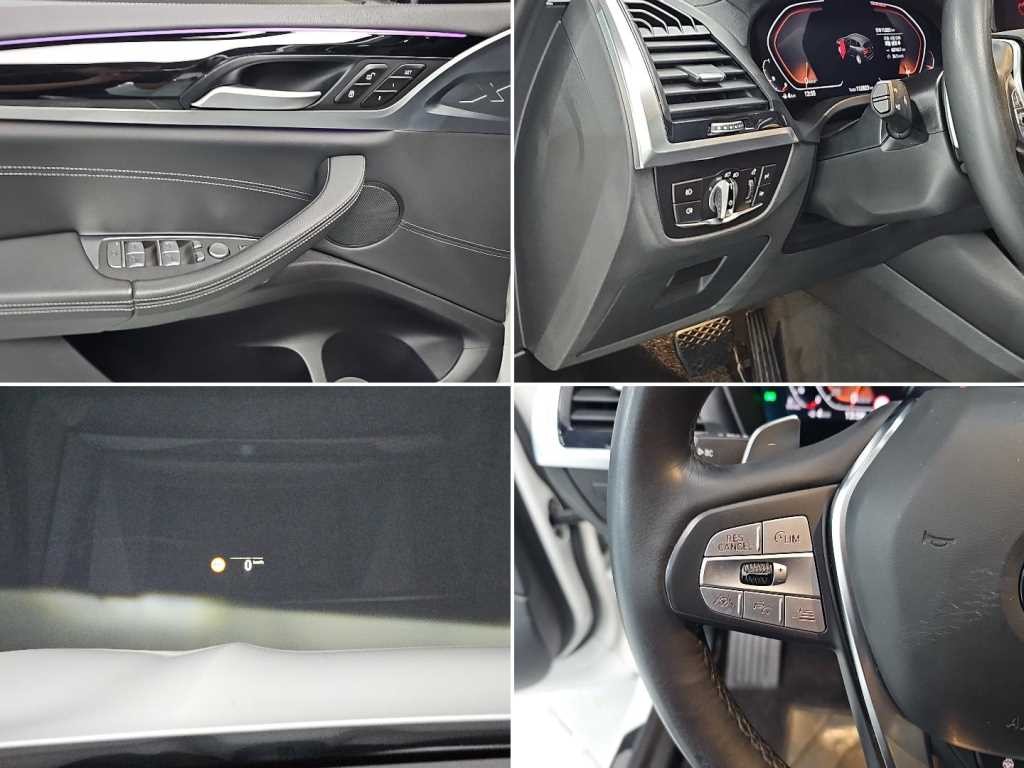 BMW X3 X3 (G01) xDrive 20d xLine 이미지 18