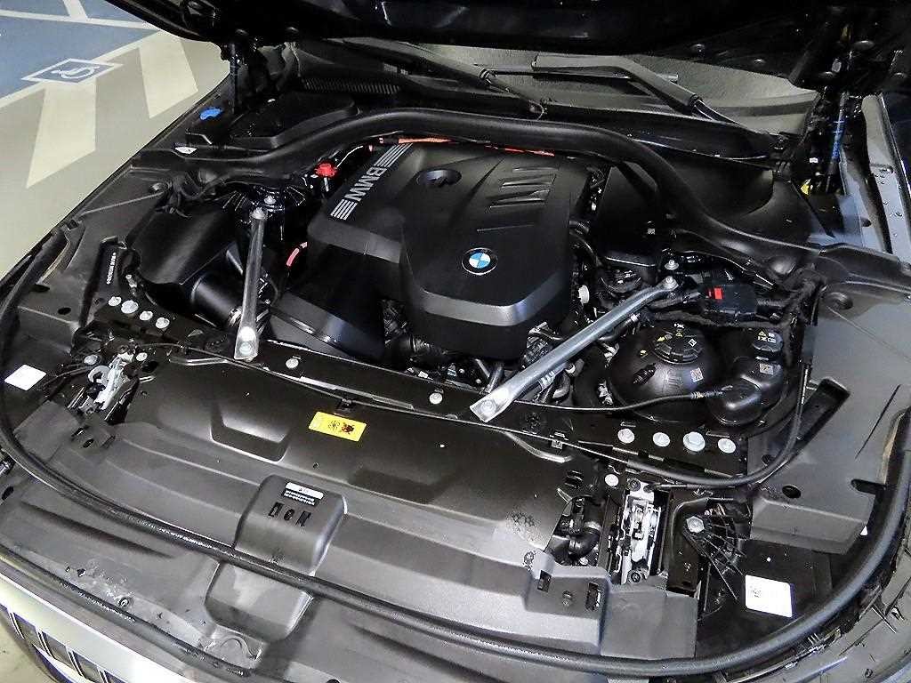 BMW 5시리즈 5시리즈 (G60) 530e M 스포츠 이미지 19