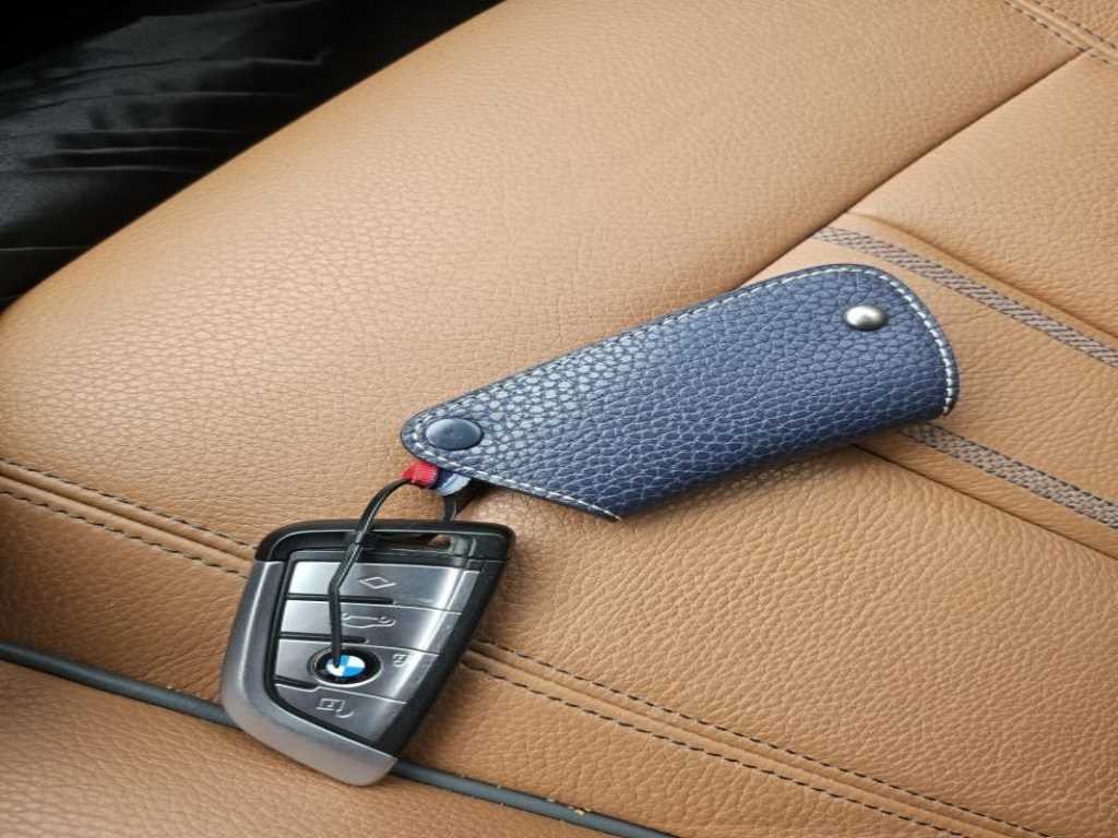 BMW 5시리즈 5시리즈 (G30) 520d 럭셔리 스페셜 에디션 이미지 10