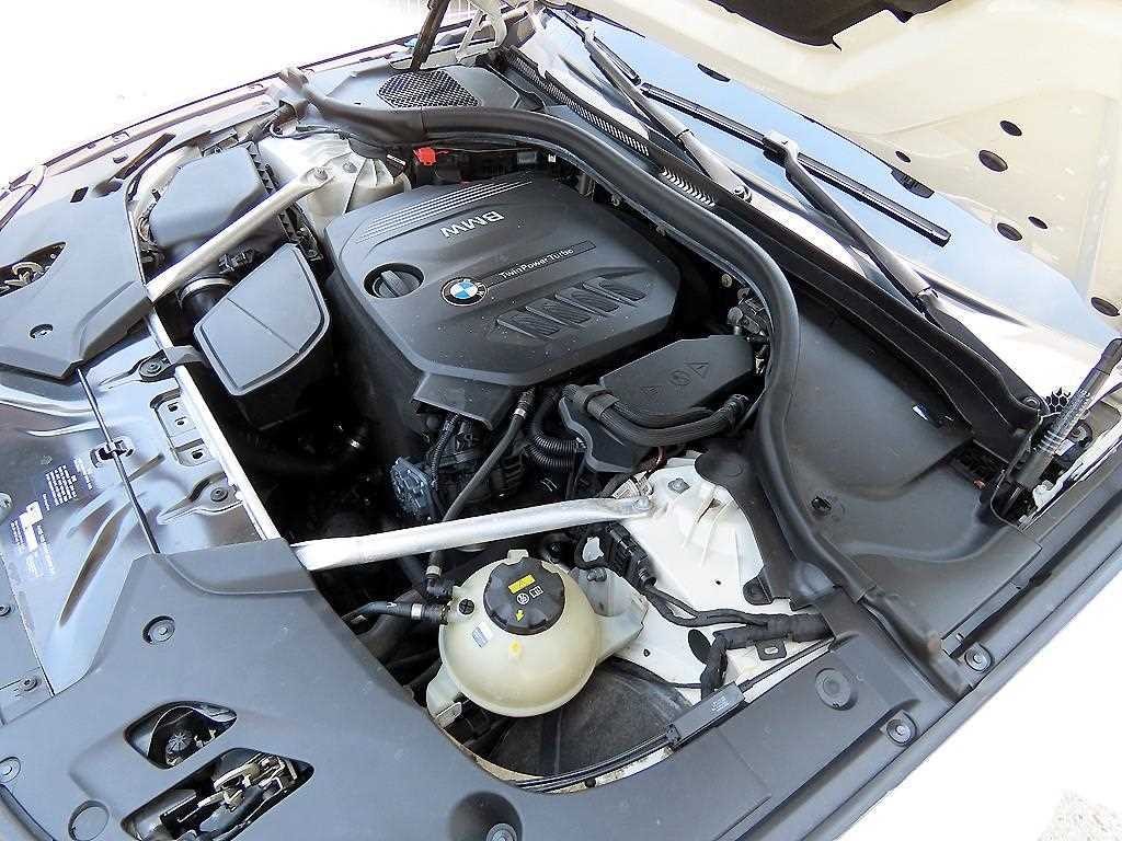 BMW 5시리즈 5시리즈 (G30) 520d 럭셔리 스페셜 에디션 이미지 18