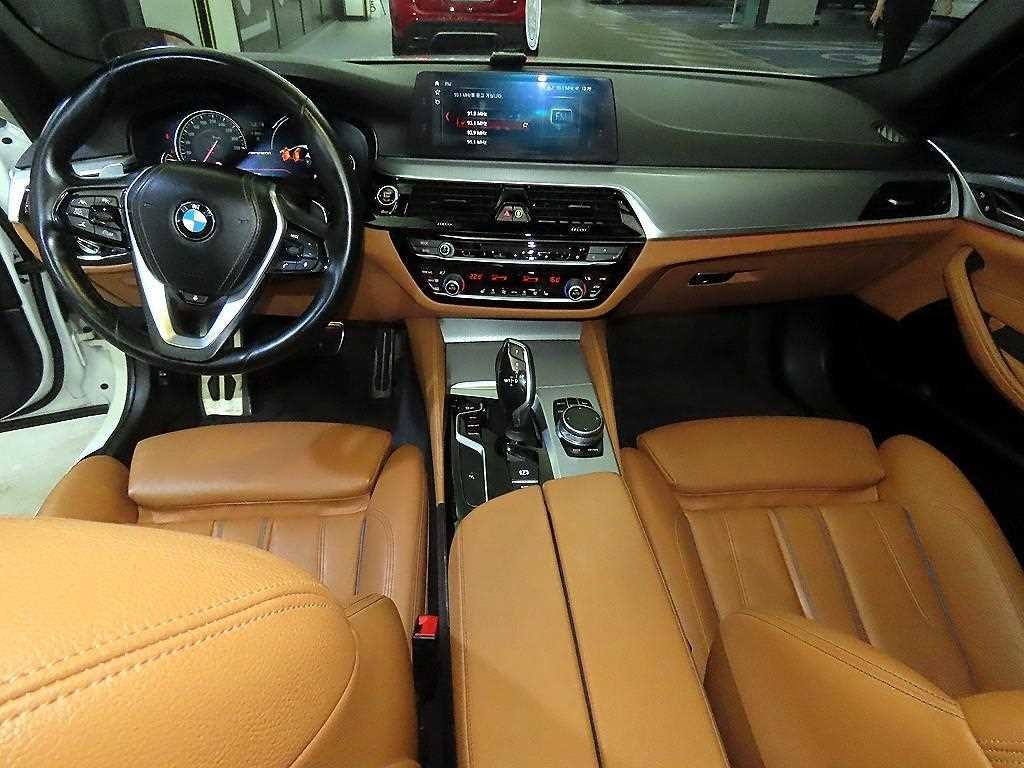 BMW 5시리즈 5시리즈 (G30) 530i M 스포츠 이미지 10