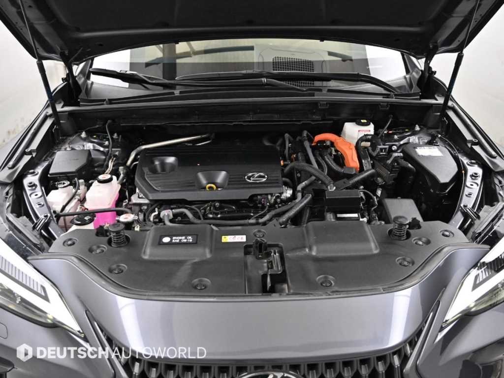렉서스 NX NX 350h 프리미엄 이미지 6