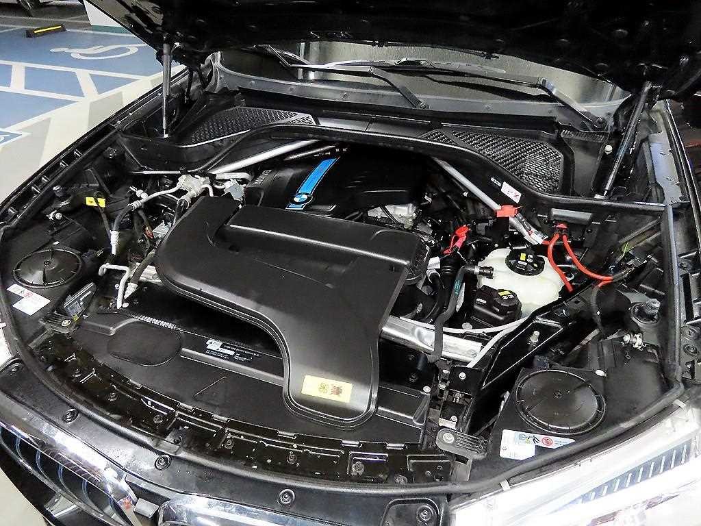 BMW X5 X5 (F15) xDrive 40e I 퍼포먼스 이미지 19