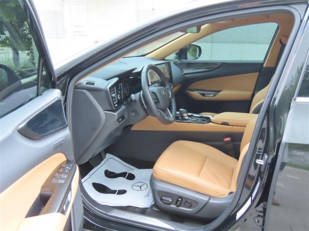 렉서스 NX NX 350h 프리미엄 이미지 13