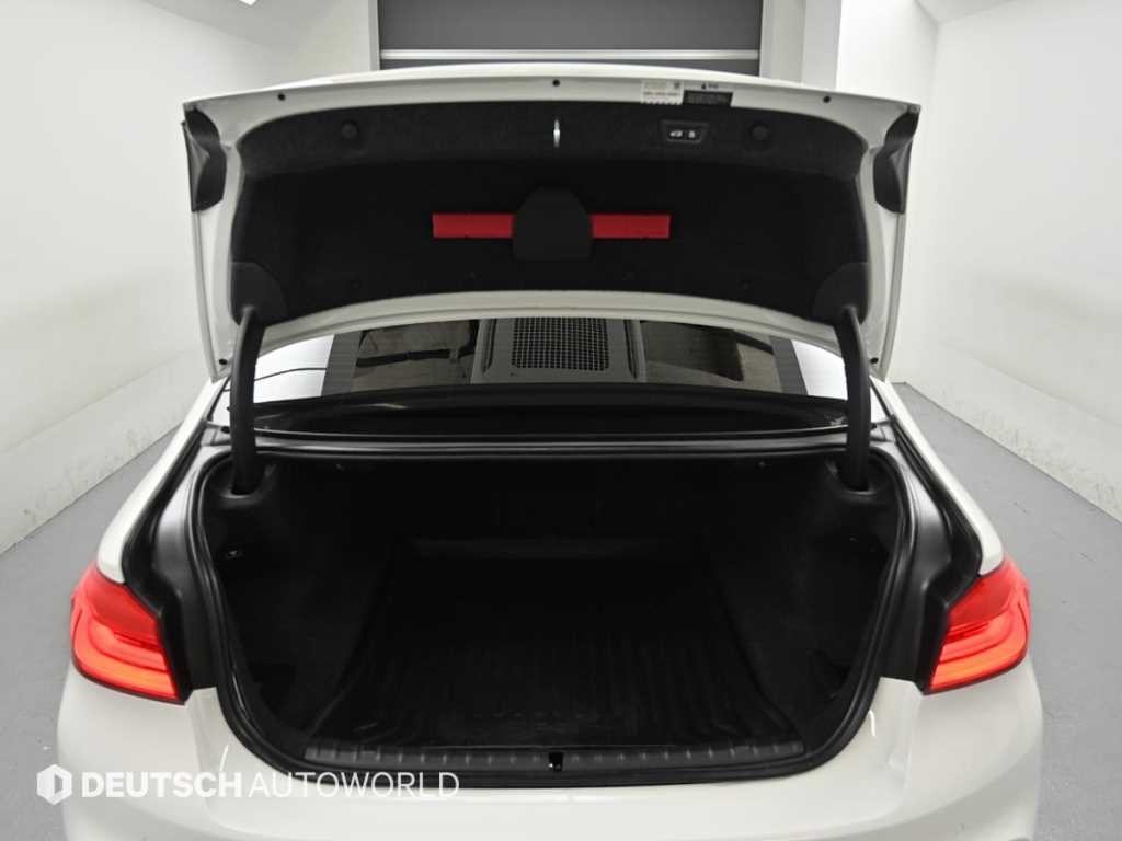 BMW 5시리즈 5시리즈 (G30) 530i M 스포츠 플러스 이미지 19