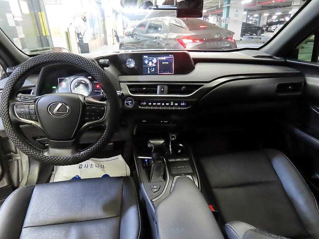 렉서스 UX UX 250h 2.0 2WD 이미지 10