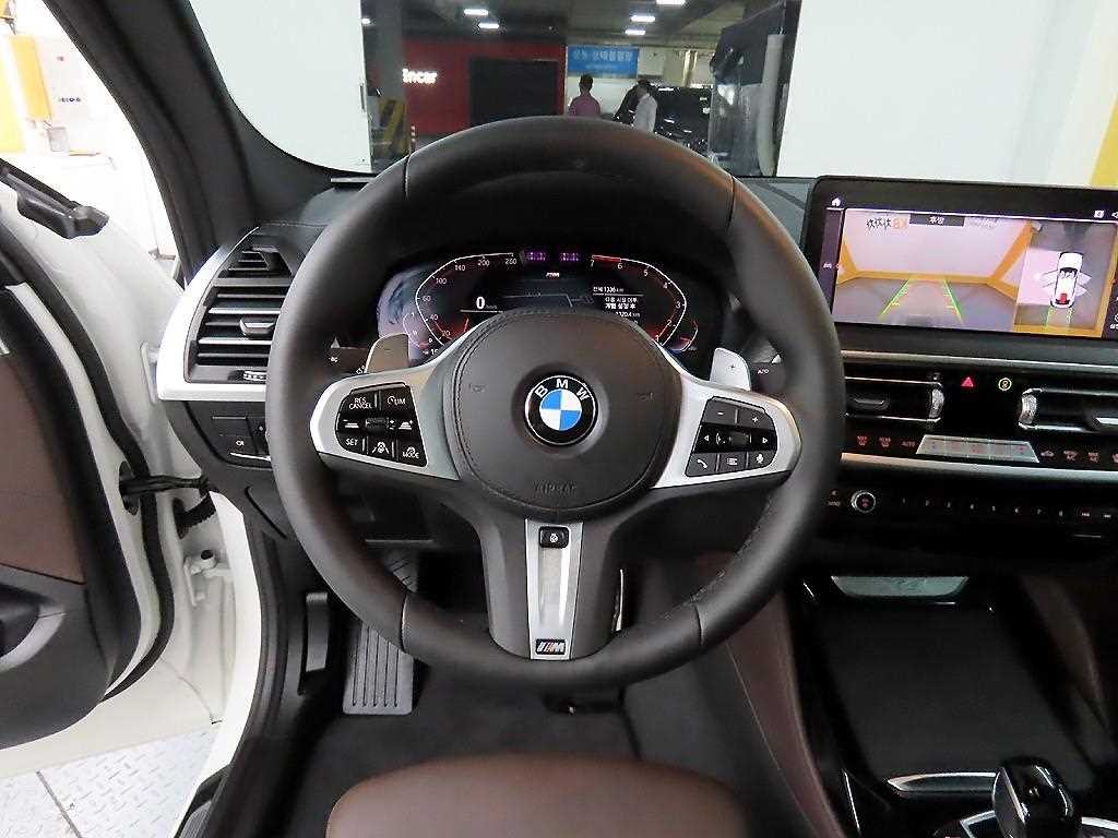 BMW X4 X4 (G02) xDrive 20i M 스포츠 프로 이미지 9