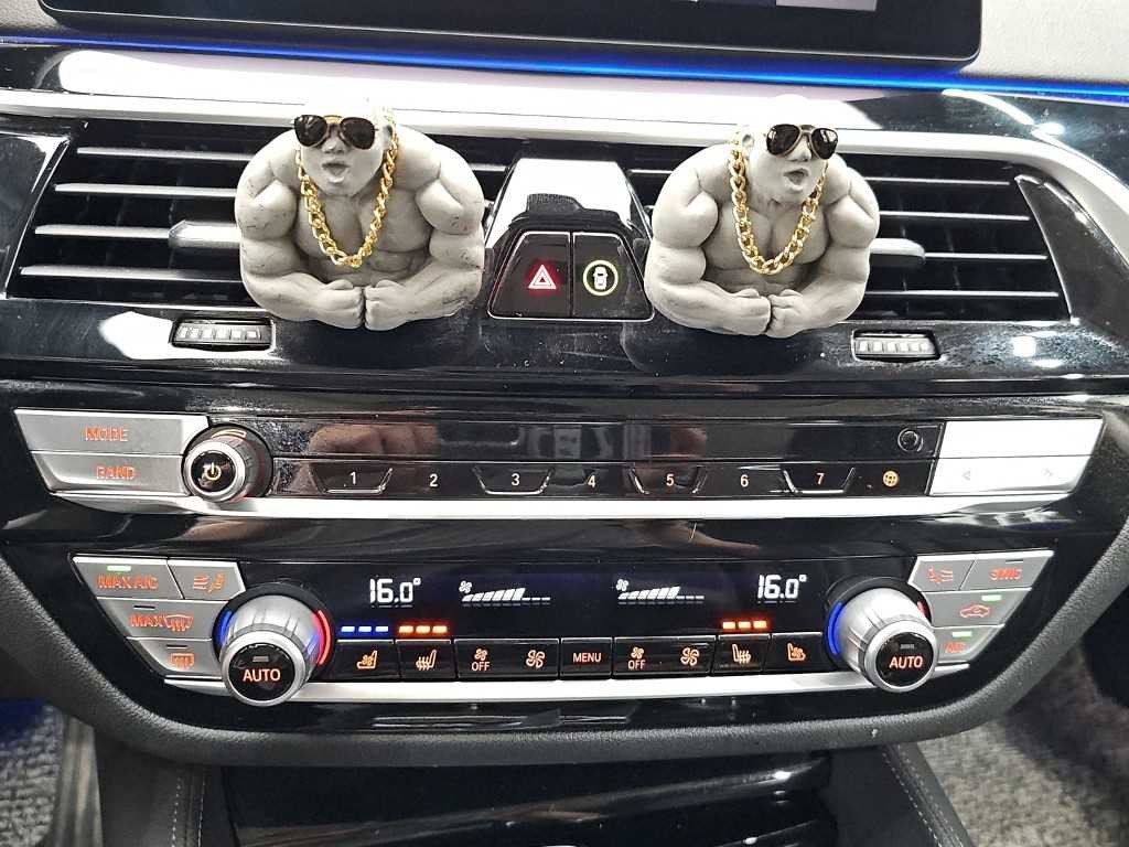 BMW 5시리즈 5시리즈 (G30) 520d 럭셔리 플러스 이미지 10