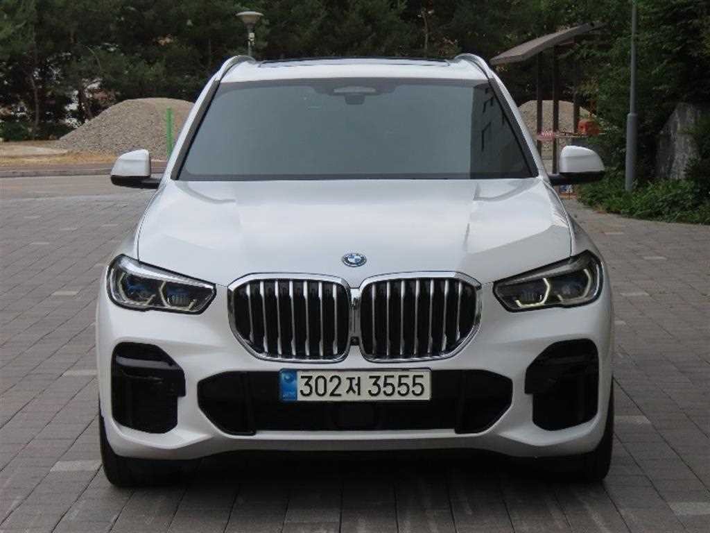 BMW X5 X5 (G05) xDrive 45e M 스포츠 이미지 1
