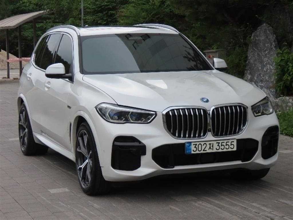 BMW X5 X5 (G05) xDrive 45e M 스포츠 이미지 2