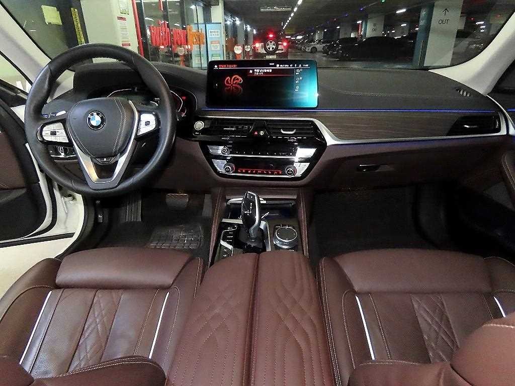 BMW 5시리즈 5시리즈 (G30) 530i xDrive 럭셔리 이미지 10