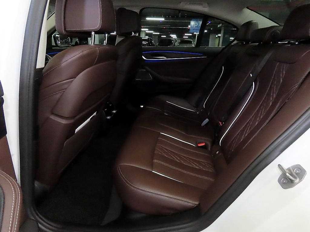 BMW 5시리즈 5시리즈 (G30) 530i xDrive 럭셔리 이미지 7