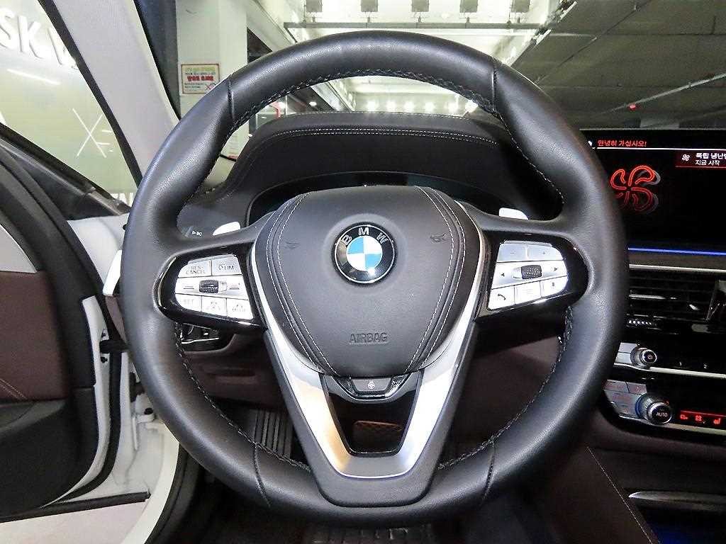 BMW 5시리즈 5시리즈 (G30) 530i xDrive 럭셔리 이미지 8