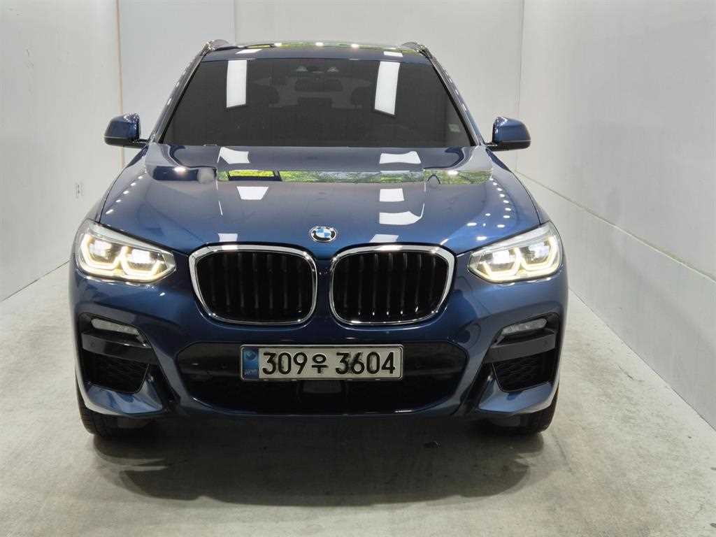 BMW X3 X3 (G01) xDrive 30e M 스포츠 이미지 1