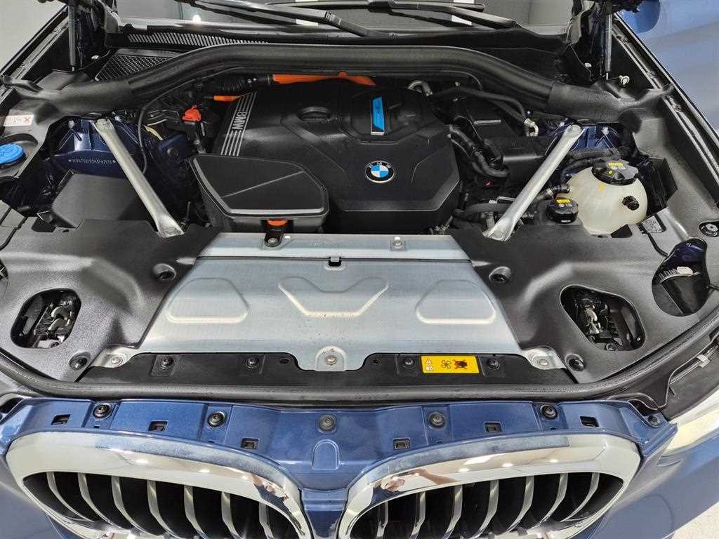 BMW X3 X3 (G01) xDrive 30e M 스포츠 이미지 18