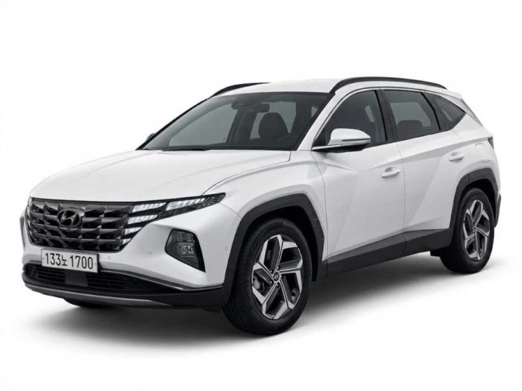 현대 투싼 투싼 (NX4) 디젤 2.0 2WD 인스퍼레이션 이미지 1