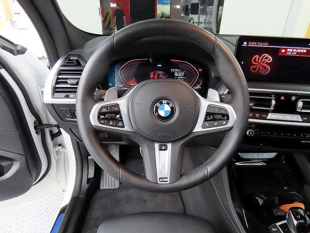 BMW X4 X4 (G02) xDrive 20i M 스포츠 프로 이미지 9