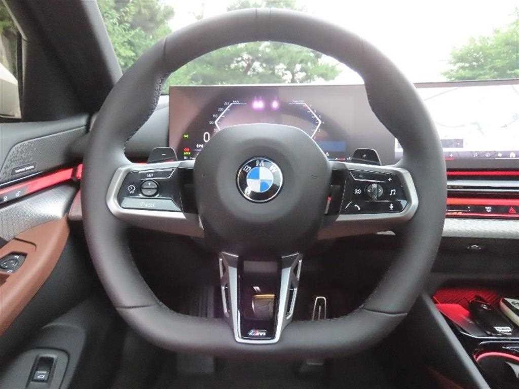 BMW 5시리즈 5시리즈 (G60) 530i xDrive M 스포츠 이미지 16