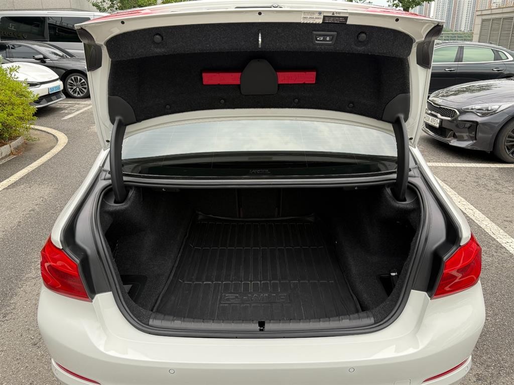 BMW 5시리즈 5시리즈 (G30) 530i xDrive 럭셔리 플러스 이미지 19
