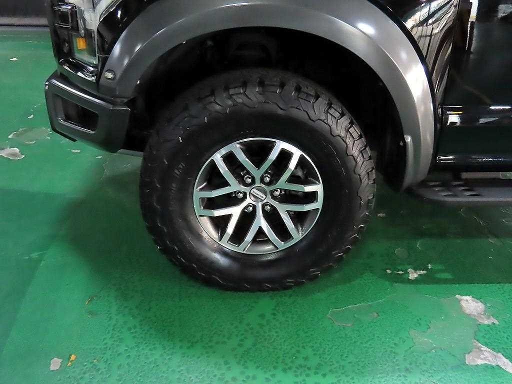 포드 F-Series F150 3.5L 이미지 20