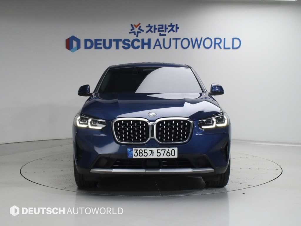 BMW X4 X4 (G02) xDrive 20i xLine 이미지 3