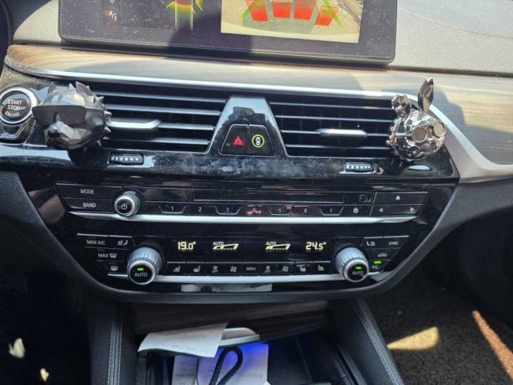 BMW 5시리즈 5시리즈 (G30) 520d 럭셔리 플러스 이미지 10