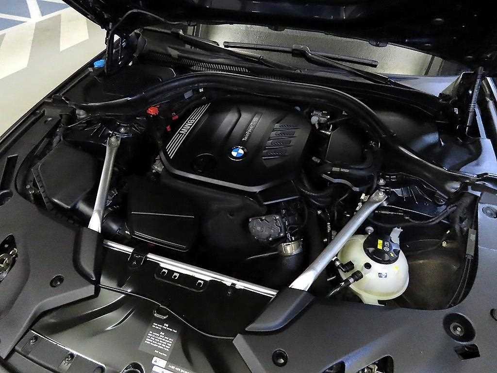 BMW 5시리즈 5시리즈 (G30) 520d 럭셔리 플러스 이미지 19