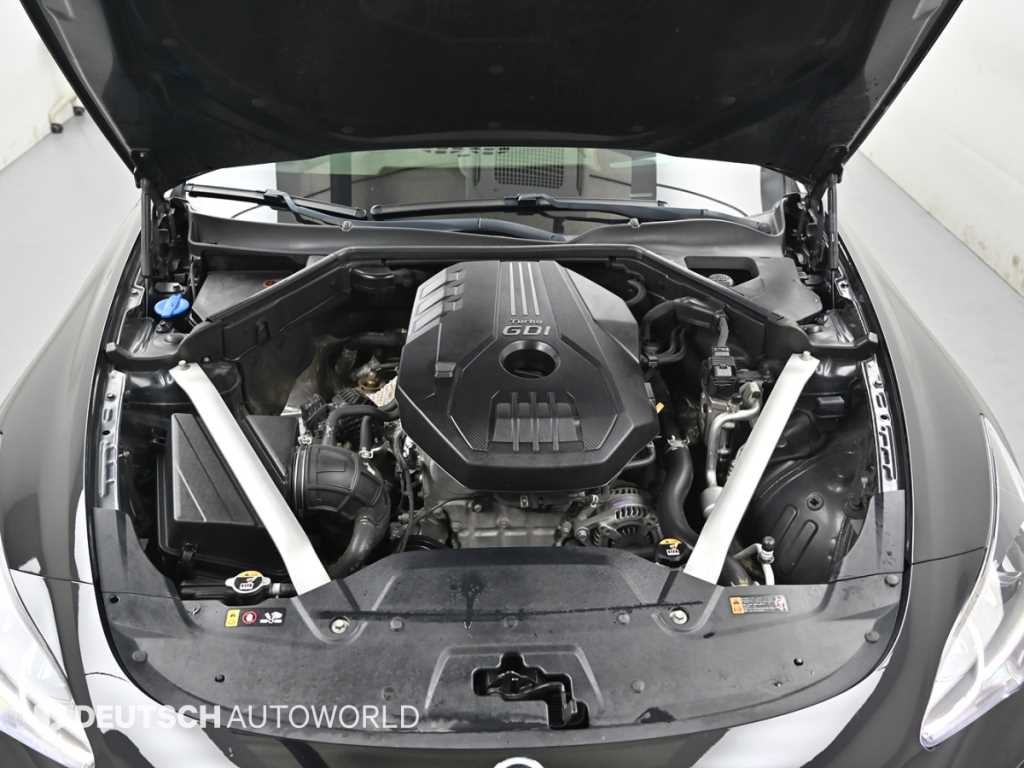 기아 스팅어 가솔린 2.0 터보 AWD 플래티넘 이미지 6