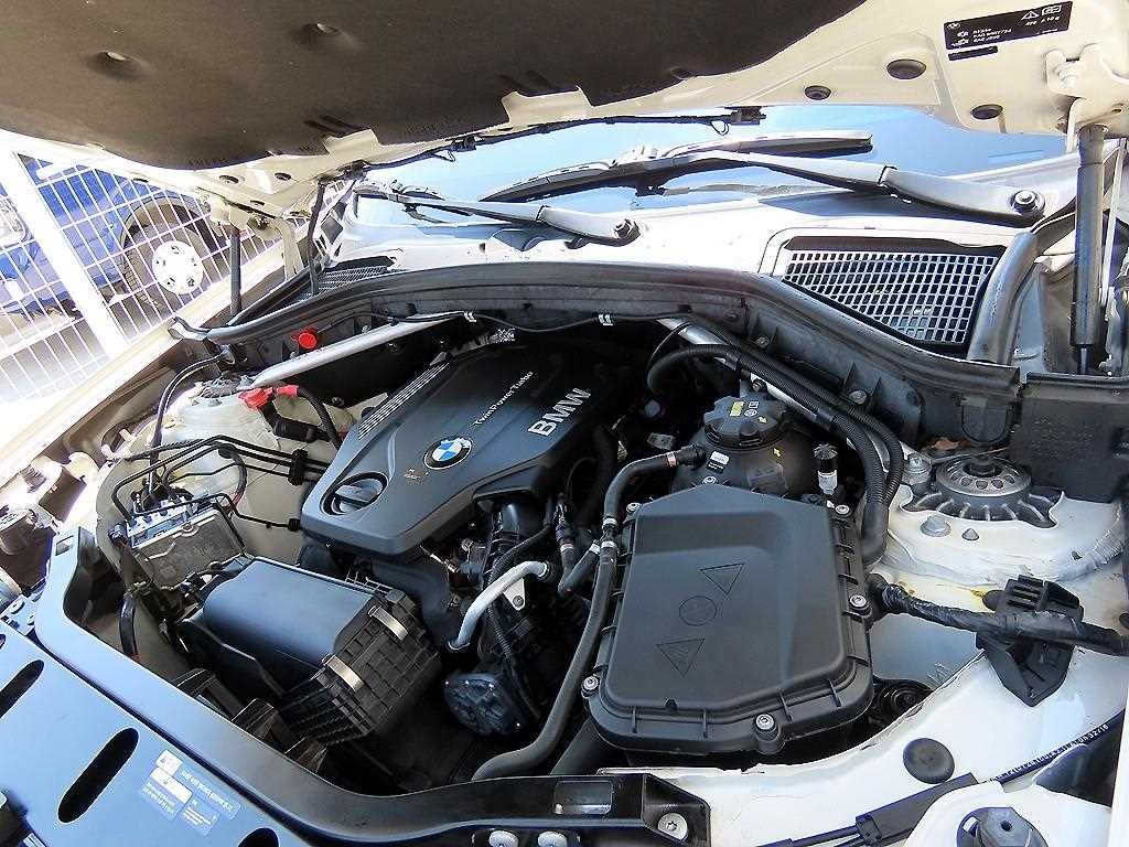 BMW X4 X4 (F26) xDrive 20d 이미지 19